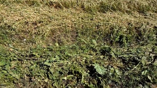 Как использовать ворошилку пальцевую для мотоблока. смотреть онлайн