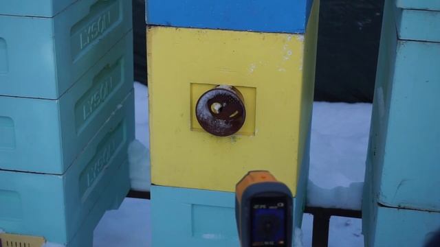 Исследую ульи через тепловизор смотреть онлайн