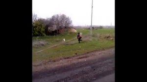 Петух нападает на детей!