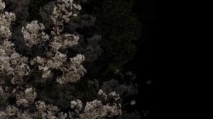 Цыганская песня Родители любимые родные 2022 год