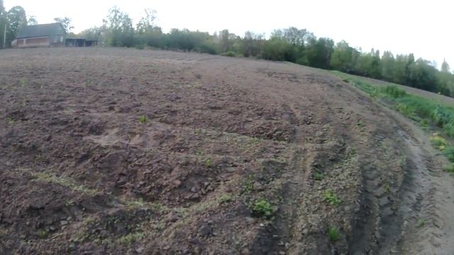 Томаты открытого грунта. смотреть онлайн