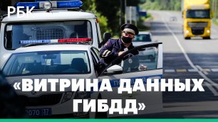 В России 1 июля запустят «витрину данных» о злостных нарушителях ПДД