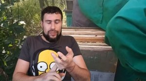 Пчеловодство для начинающих. Выбор типа Улья для пасеки. Выбираем породу пчел