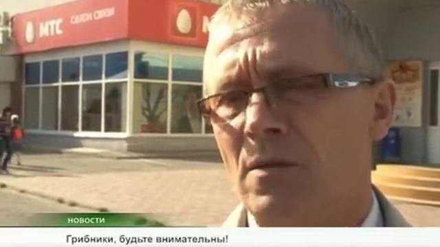 Грибы отсюда...