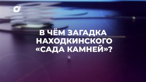 Знай свой край / Сад камней