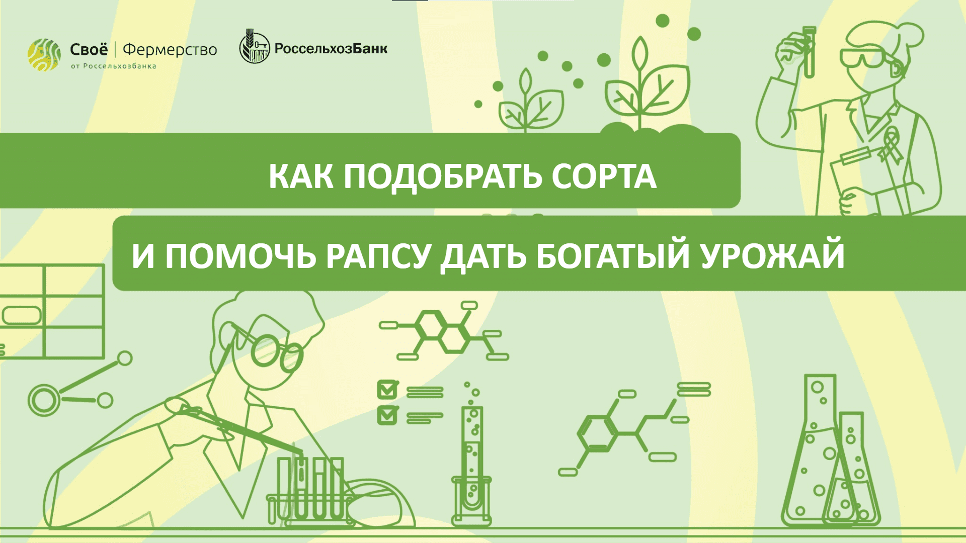 Как подобрать сорта, и помочь рапсу дать богатый урожай