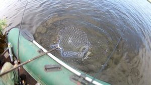 Ловля на фидер из лодки (озеро Чаны )