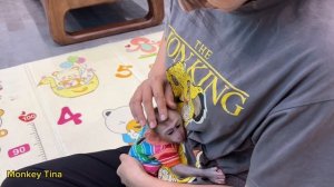 Little monkey Tina clung to her mother and wouldn't let go