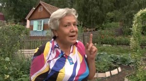 Голова садовая - Как сохранить смородину