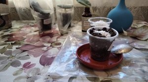 Фиалки из листа🌻. Выращивание деток в ЗИП пакетах.