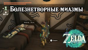 Болезнетворные миазмы. The Legend of Zelda Tears of the Kingdom. Gloom-Borne Illness