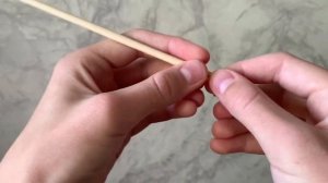 КАК ОКОЛЬЦЕВАТЬ ПЕВЧУЮ ПТИЦУ???