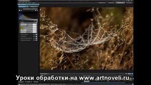 Программа ACDSee (Цветокоррекция, вкладка "общие")
