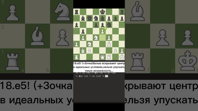 Позиционная игра.Тесты по стратегии и тактике.Сицилианская защита... смотреть онлайн
