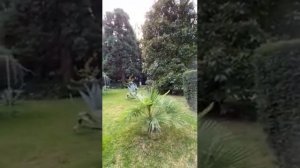 Отель Демерджи Номера