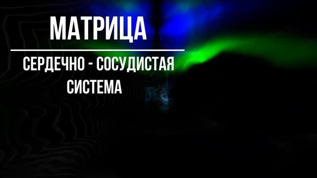 Сердечно-Сосудистая Система | Коррекция и Регенерация ? Матрица Гаряева ? Cardiovascular System