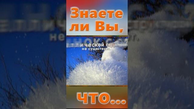 Знаете ли Вы, Что? Аисты