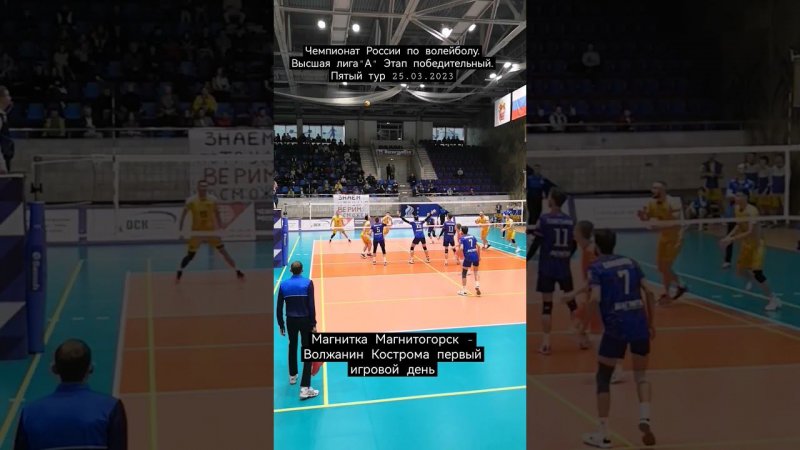 Магнитка Магнитогорск - Волжанин Кострома #спорт #sport #volleyball #shortvideo #sportshorts