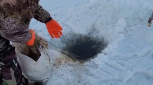 Быстрое снятие сетей из-за злой щуки????