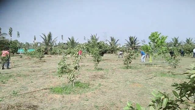 pik nik смотреть онлайн