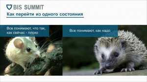 Agile ИБ с «колёс» - BIS Summit 2016