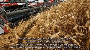 Список самых крупных производителей и экспортеров пшеницы