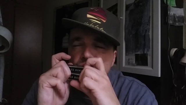 Lee Oskar G and C natural minor harmonica - beatboxharmonica idea смотреть онлайн
