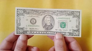 20 долларов США , 1993 года / 20 US dollars 1993 .