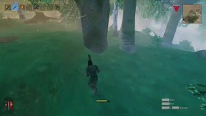 10 советов для новичков в Вальхельм