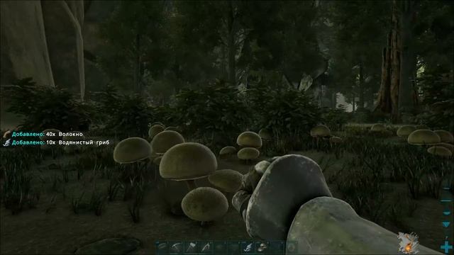 Соло Аберрация в ARK | Приручение КРОТОКРЫСА и Добыча мёда в АРК | Соло  развитие на Аберрации в AR