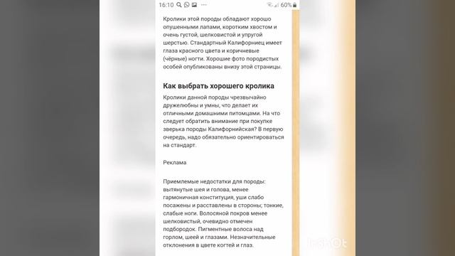 Стандарты калифорнийский кролика. описание смотреть онлайн