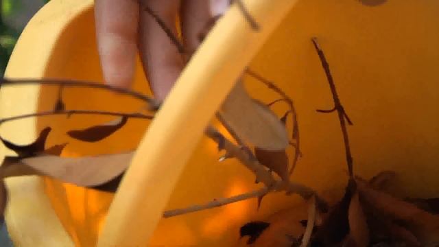 Adotta un Composter - Aiuta l'ambiente, Produci concime смотреть онлайн