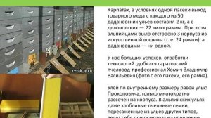 Типы ульев, улей СИЛА