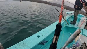 Ловля Минтая в Японском море. Рыбалка во Владивостоке. Катер "Приморец"