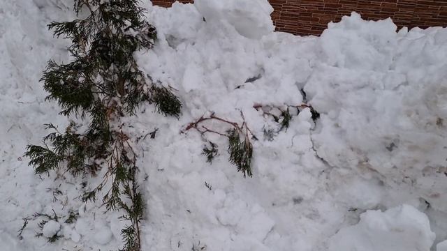 Предчуствия меня не обманули | Сердце кровью обливается смотреть онлайн