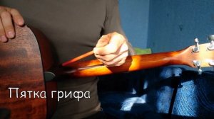 Строение акустической гитары | Cort AD-810