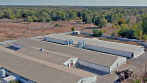 Волгоградский кролик. Кроликоферма 2020 год. Разведение кроликов.
