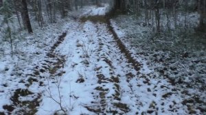 ОХОТА НА ГЛУХАРЯ С МЕЛКАШКОЙ В ЛЕСУ ЗЛОВЕЩИЙ ТУМАН. ЧТО-ТО ПОШЛО НЕ ТАК