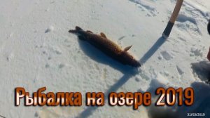 Рыбалка на озере 2019.Ловим живцов на безмотылку, проверяем донки.Улов нас порадовал.Республика Коми