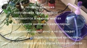 ИДЕАЛЬНАЯ СИСТЕМА АВТОМАТИЧЕСКОГО ПОЛИВА КОМНАТНЫХ РАСТЕНИЙ