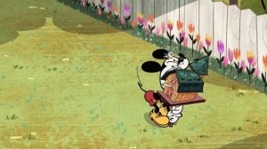 Alimenta a las Aves | Mickey Mouse