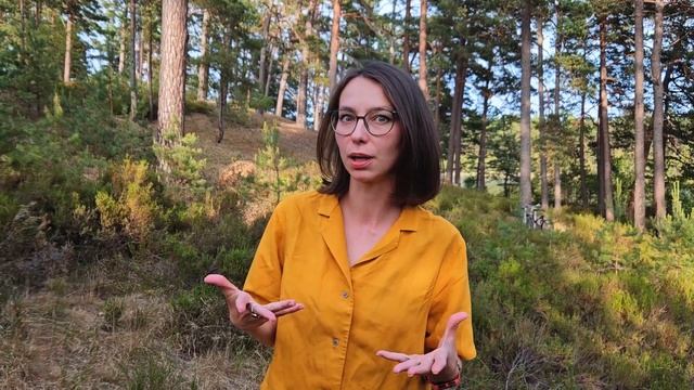 Эмоциональный интеллект | Психология на ходу