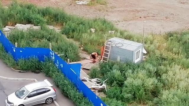 КОРОБКА с мясом (!) для стаи бродячих псов - кормежка охранником - 08-10 - 15:15 смотреть онлайн