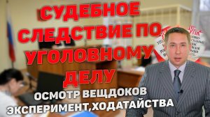 Судебное следствие. Осмотр вещественных доказательств. Ходатайства. Эксперимент. Освидетельствование