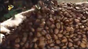 Реклама Tchibo: 100% арабики в кофе Чибо Эксклюзив