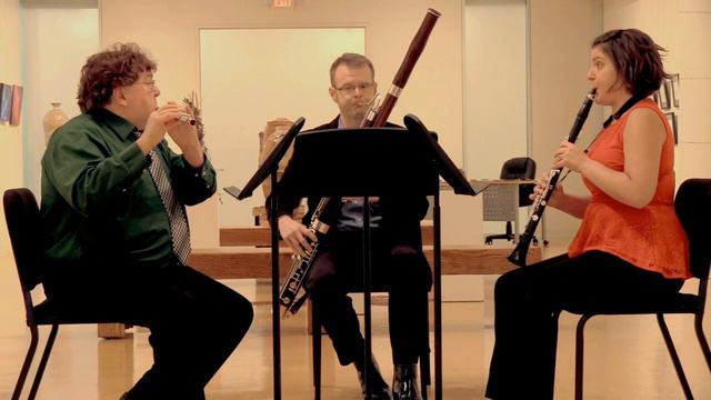 Spider Suite for Flute, Clarinet, and Bassoon by Jenni Brandon смотреть онлайн