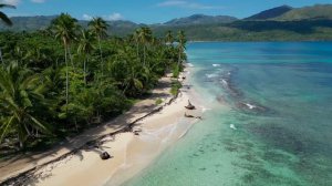 RINCON Beach | Playa RINCON, Dominican Republic - Full tour of this pristine beach #rincon #samana