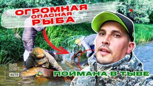 ЭТОГО МОНСТРА ПОЙМАЛИ В ТЫВЕ! ТАКОГО Я ЕЩЕ НЕ ВИДЕЛ! ТАЙМЕНЬ.