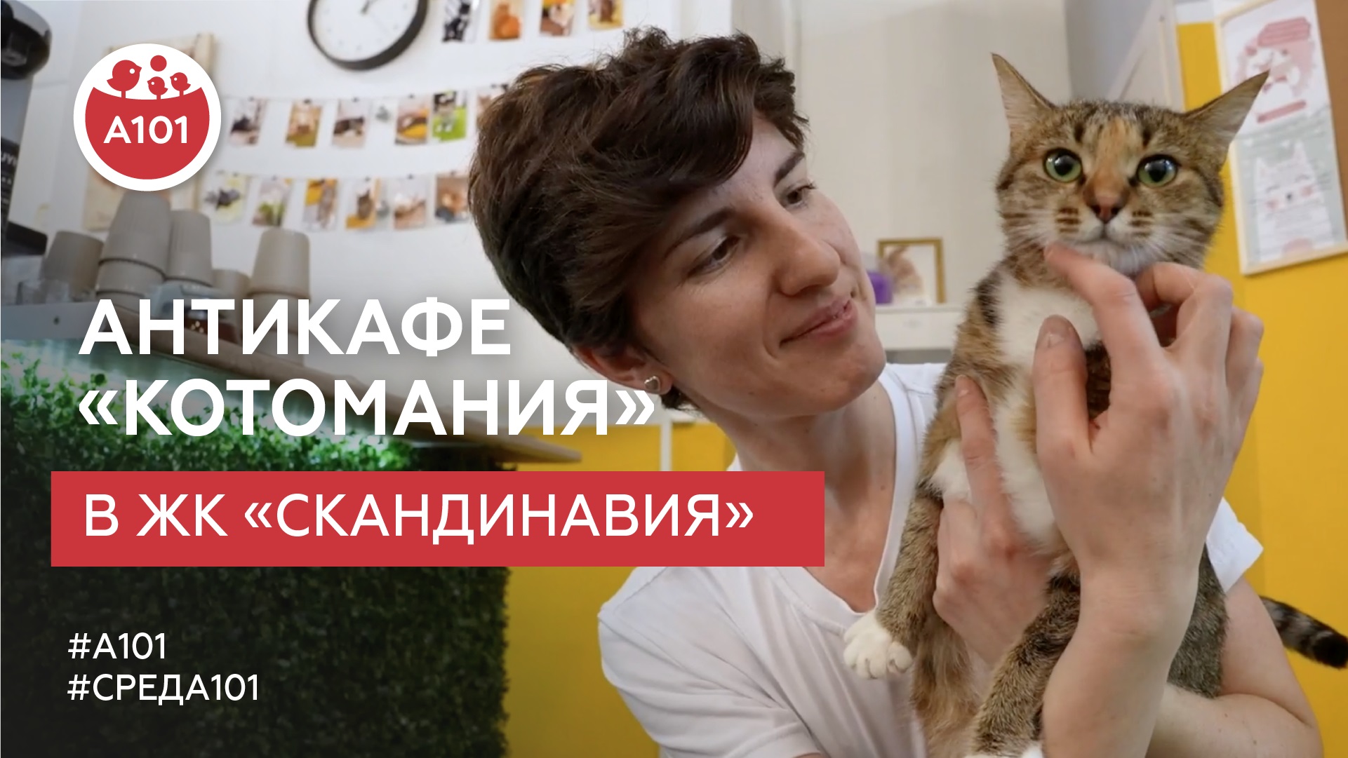 Антикафе «Котомания» в ЖК «Скандинавия»