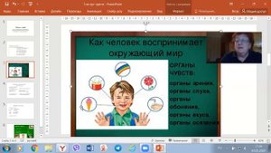 Как человек воспринимает окружающий мир